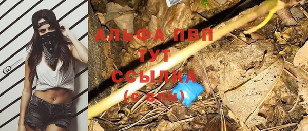 спиды Богданович