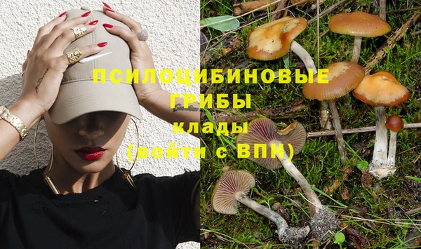 спиды Богданович