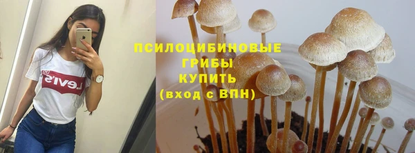 спиды Богданович