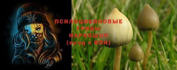 спиды Богданович