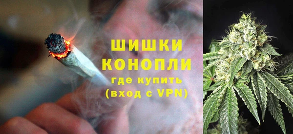 спиды Богданович